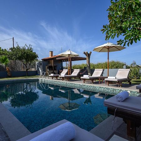 Platanias Villa Spyros Екстериор снимка